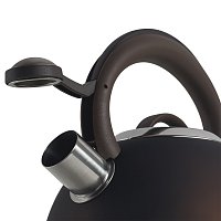 Чайник со свистком Polaris Etna-3L